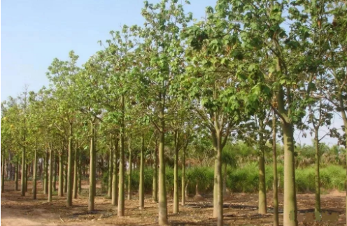 國產欧美午夜在线视频 國產欧美午夜在线视频