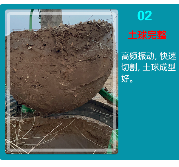 欧美午夜在线视频