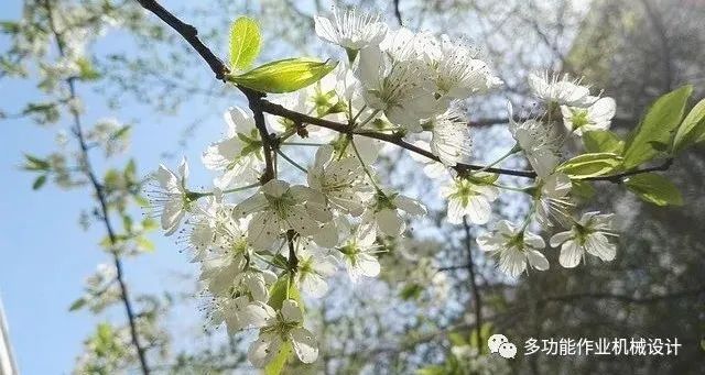 多功能果園作業平台--果園管理的好搭檔！