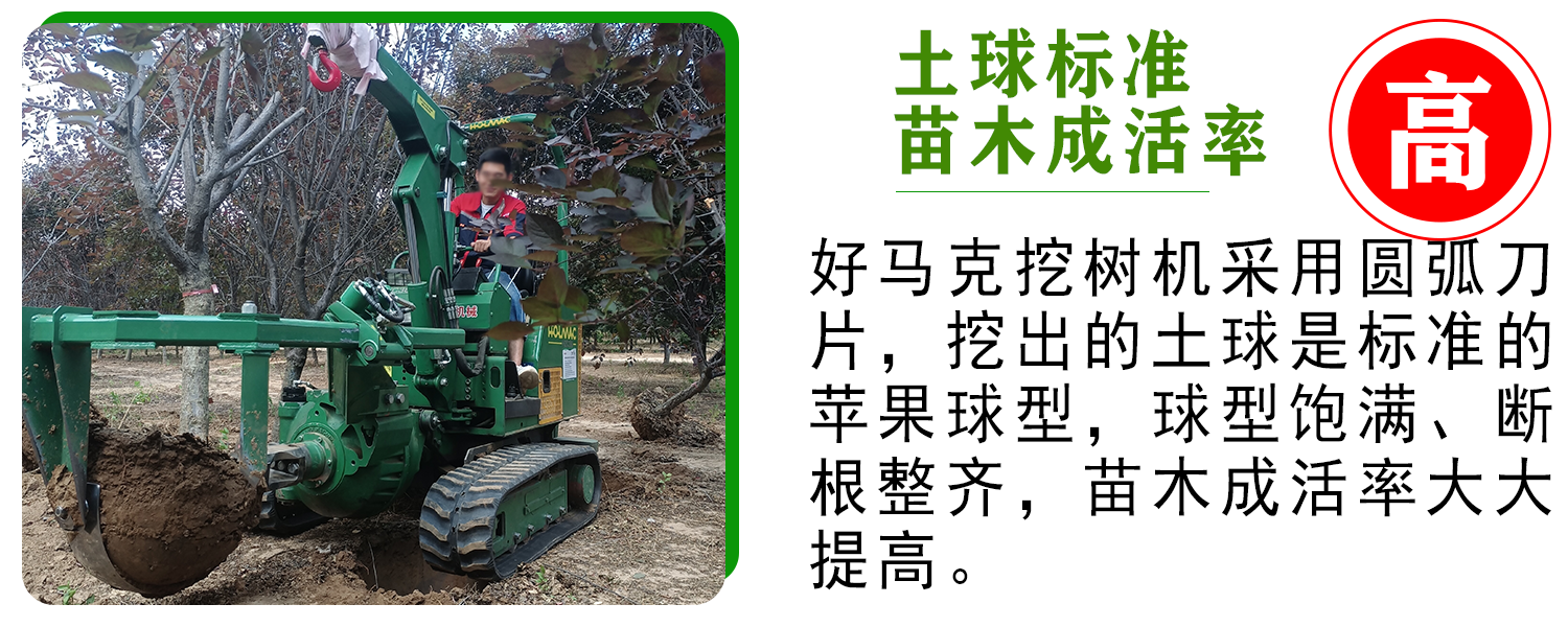 好馬克欧美午夜在线视频