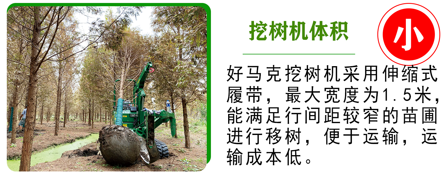 好馬克欧美午夜在线视频