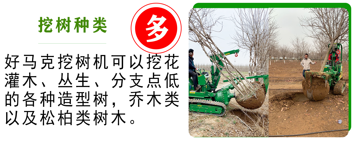 好馬克欧美午夜在线视频