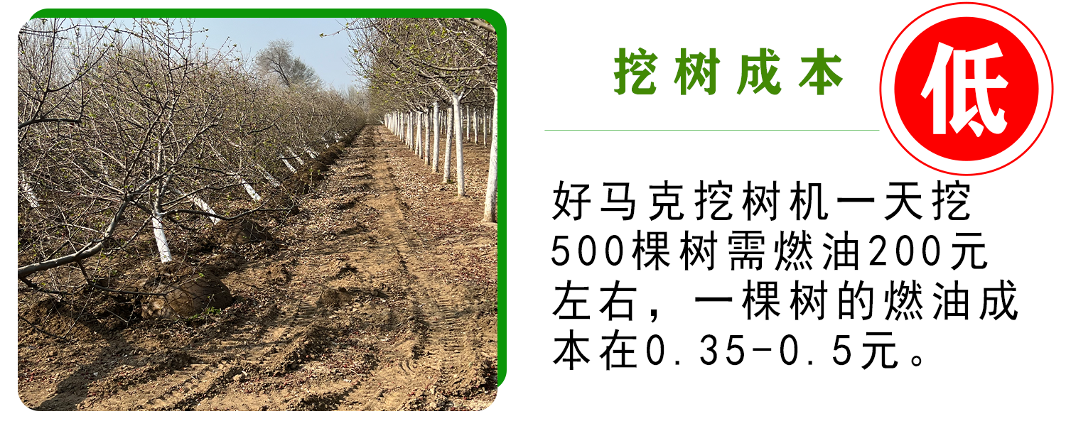 好馬克欧美午夜在线视频