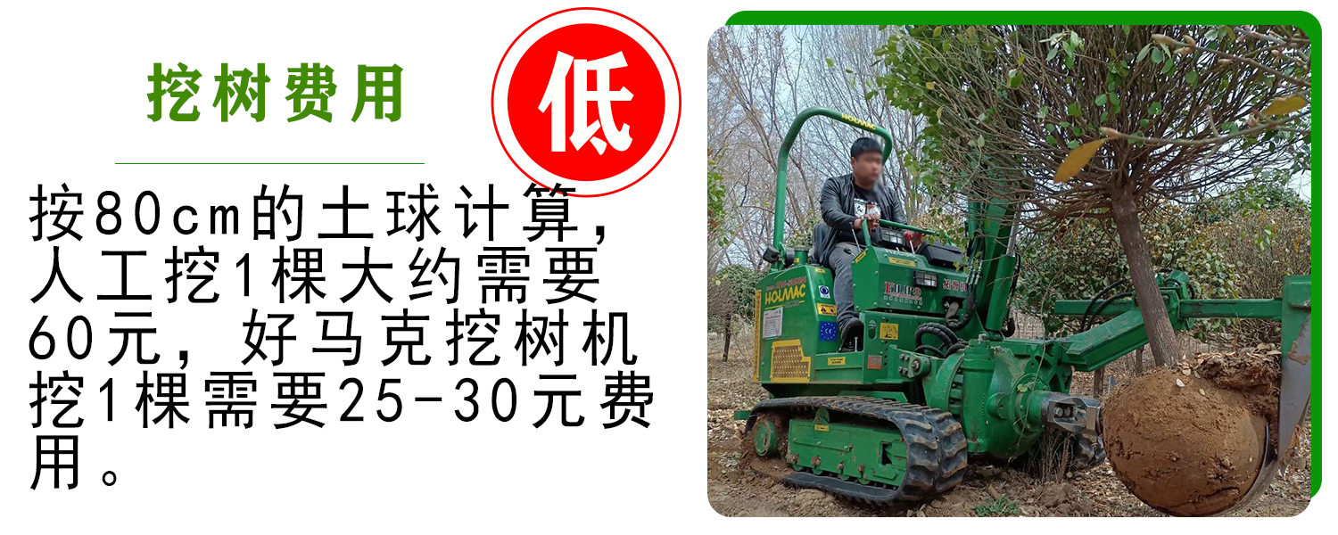 好馬克欧美午夜在线视频