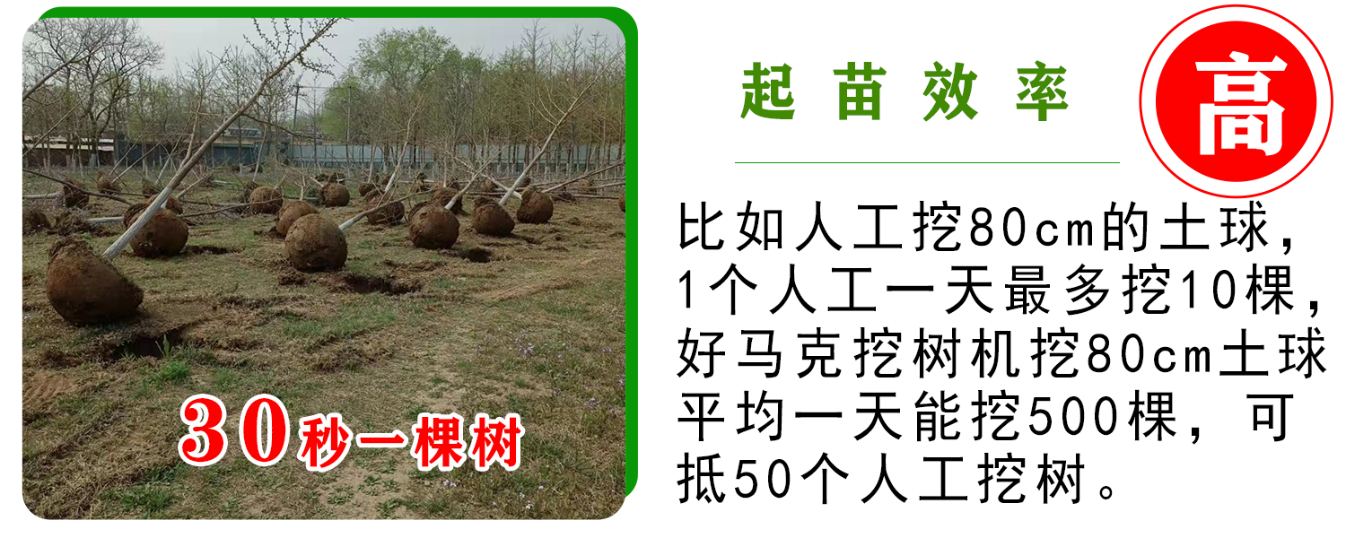 好馬克欧美午夜在线视频